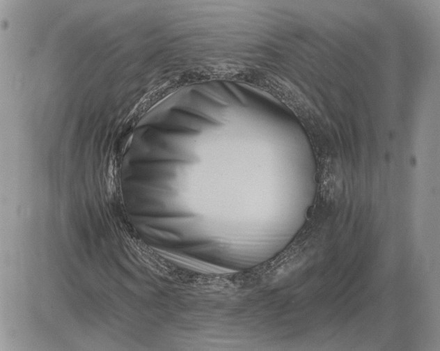 X0000081450866200701261910