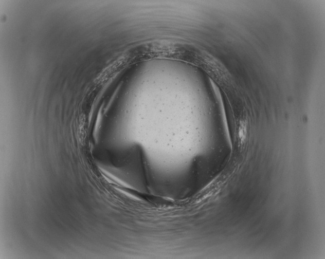 X0000081450867200701261910