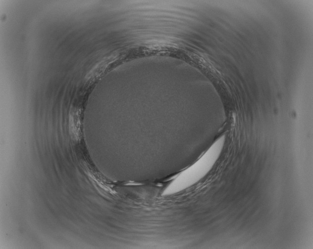 X0000081450868200701261910