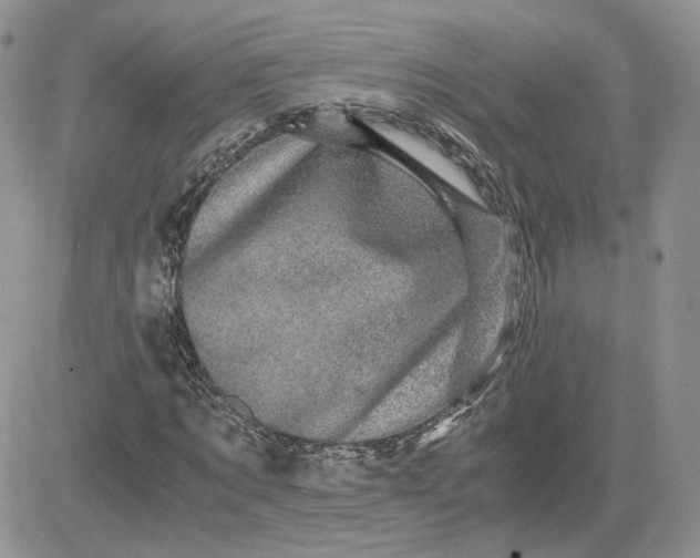 X0000081450869200701261910