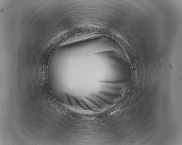 X0000081450870200701261910