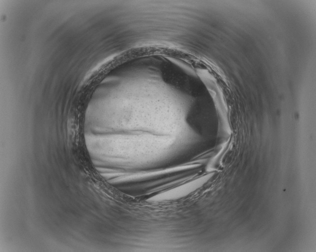 X0000081450872200701261910