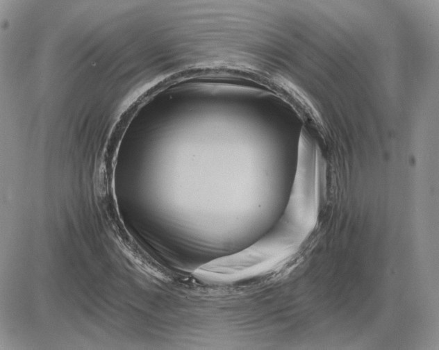 X0000081450876200701261910