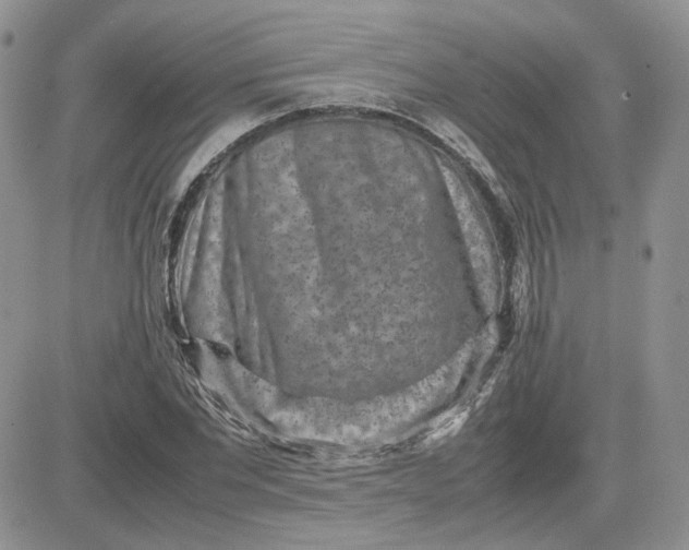 X0000081450877200701261910