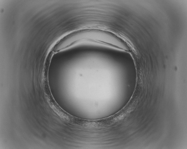 X0000081450880200701261910