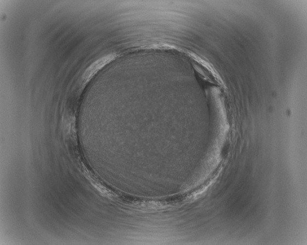 X0000081450881200701261910