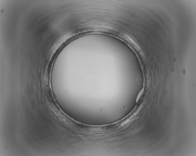 X0000081450883200701261910