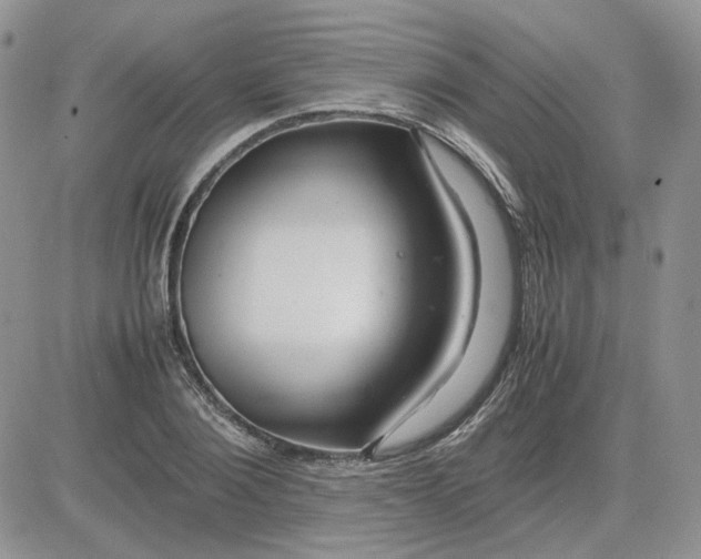 X0000081450884200701261910