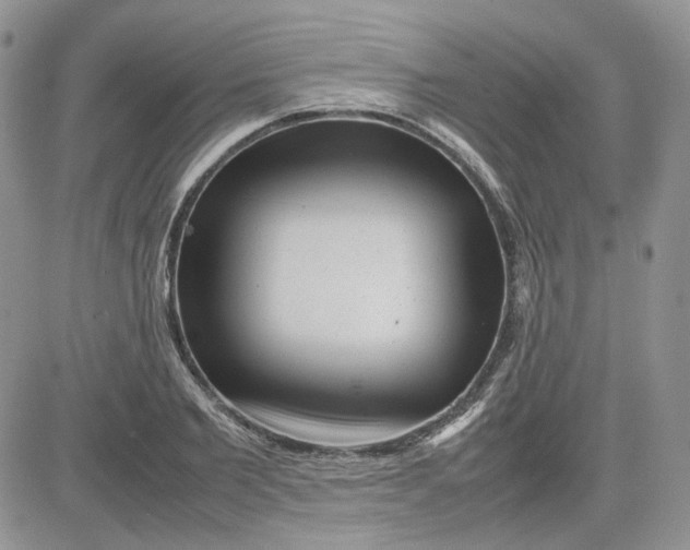 X0000081450885200701261910