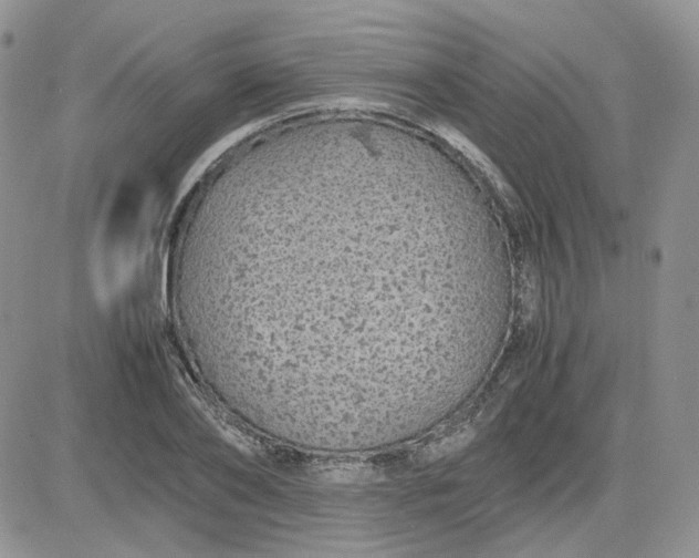 X0000081450886200701261910