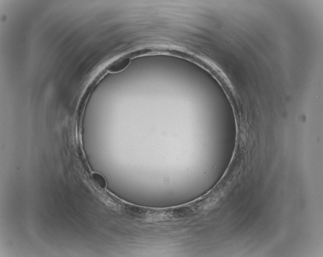 X0000081450887200701261910