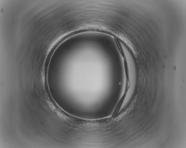 X0000081450888200701261910