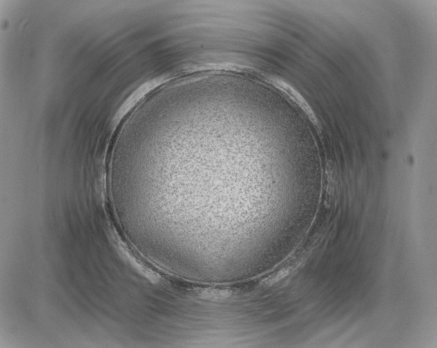 X0000081450890200701261910