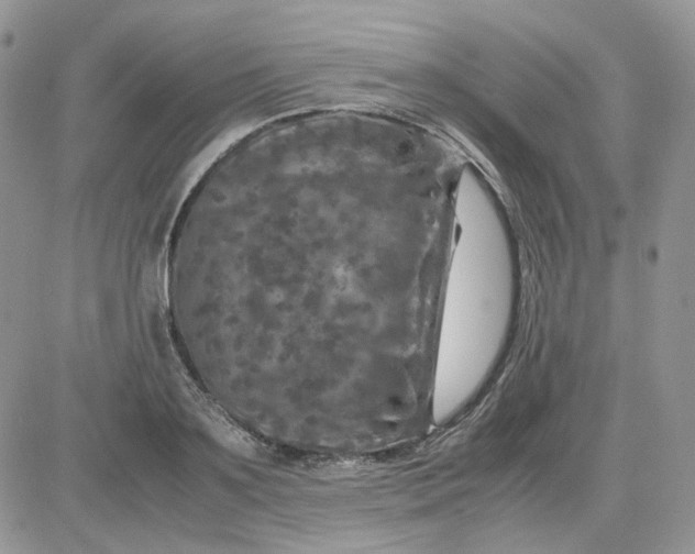 X0000081450891200701261910