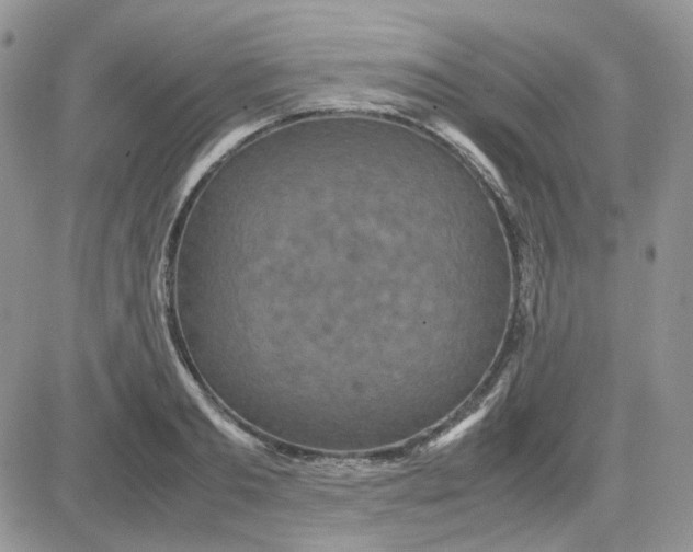 X0000081450893200701261910