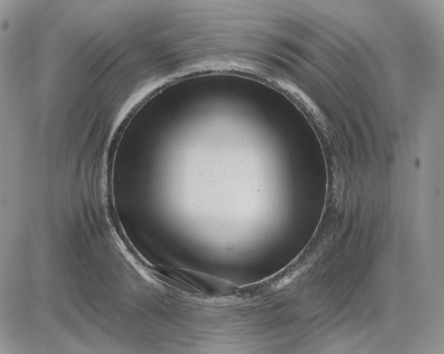 X0000081450894200701261910