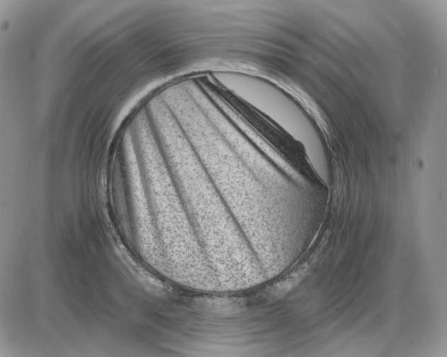 X0000081450896200701261910