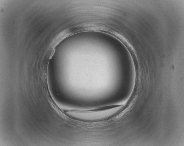 X0000081450897200701261910