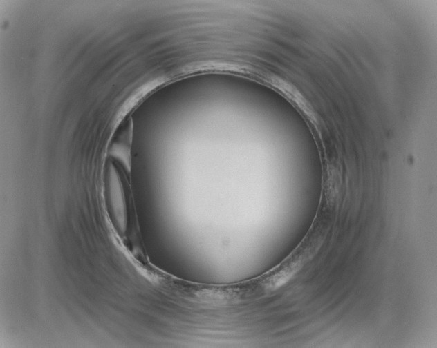 X0000081450898200701261910