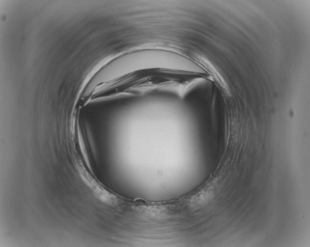 X0000081450900200701261910