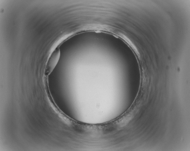 X0000081450901200701261910