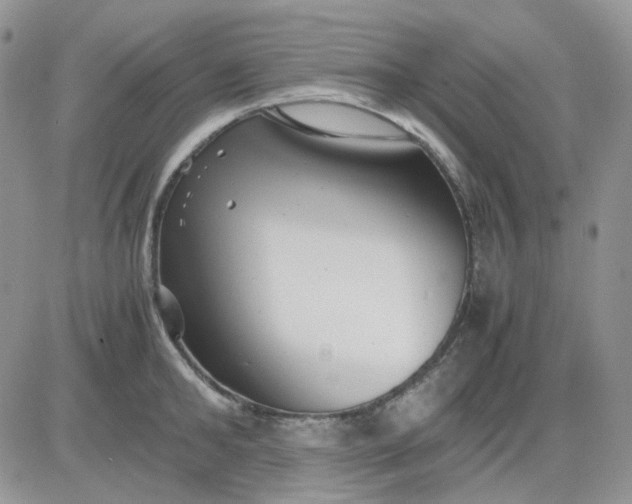 X0000081450902200701261910