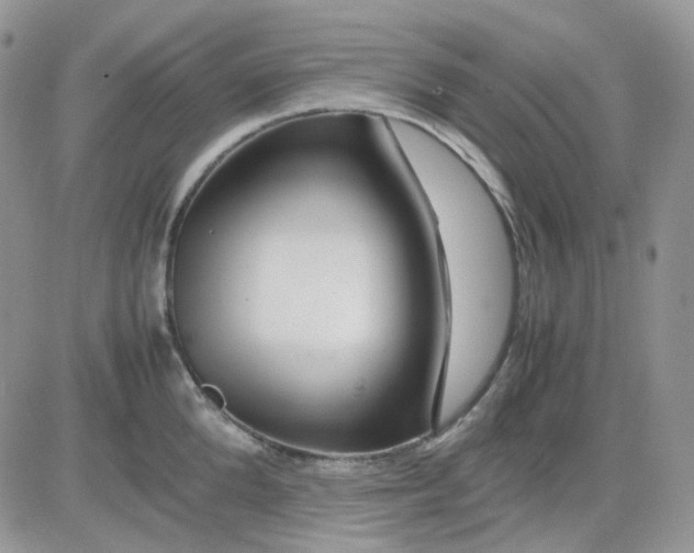 X0000081450904200701261910