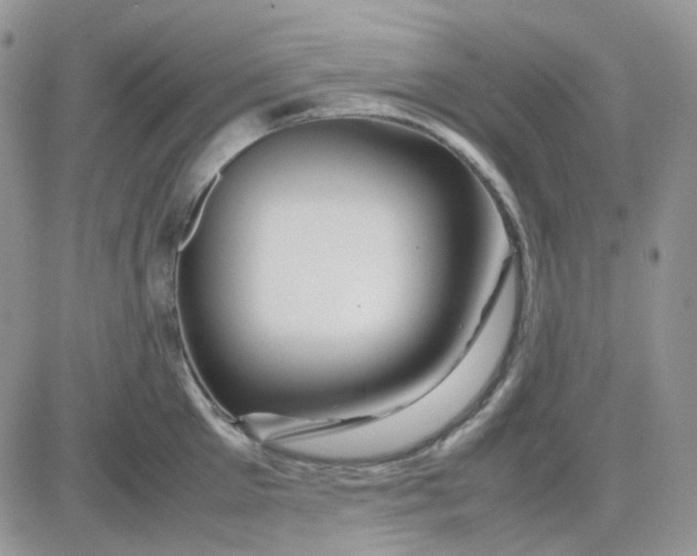 X0000081450905200701261909