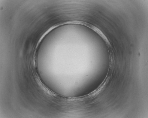 X0000081450908200701261909