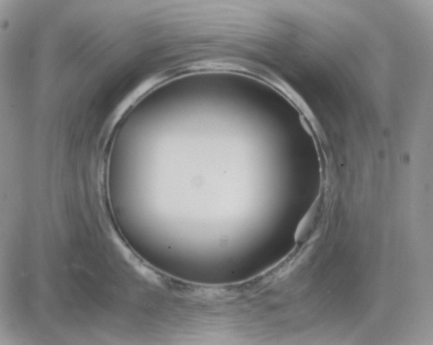 X0000081450909200701261909