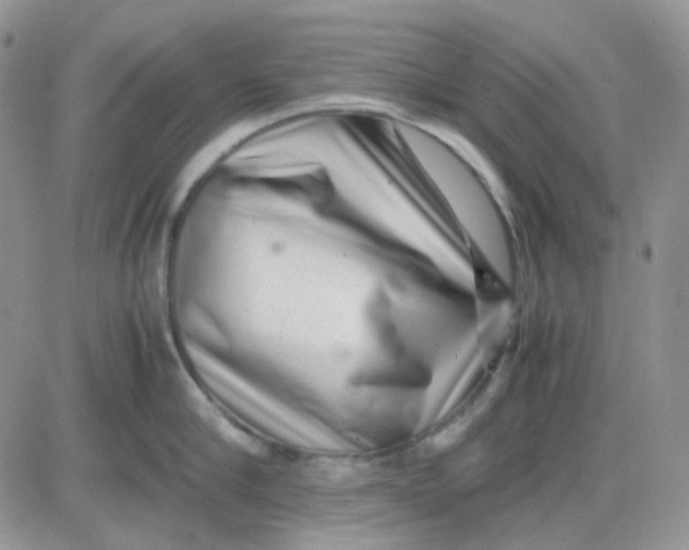 X0000081450910200701261909