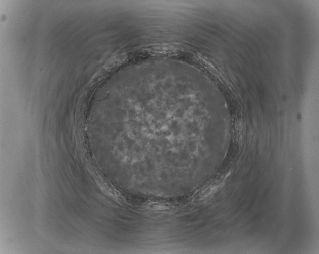 X0000081450913200701261909