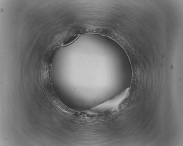 X0000081450914200701261909