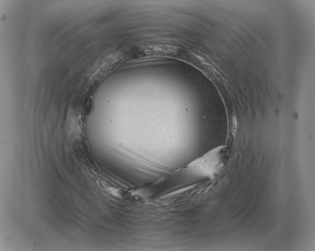 X0000081450915200701261909