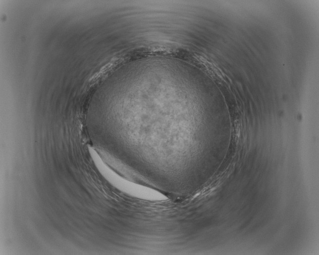 X0000081450916200701261909