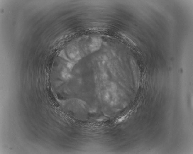 X0000081450917200701261909