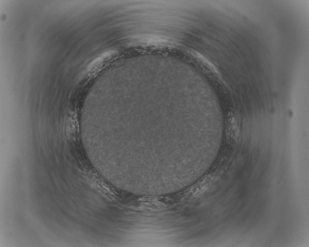 X0000081450918200701261909