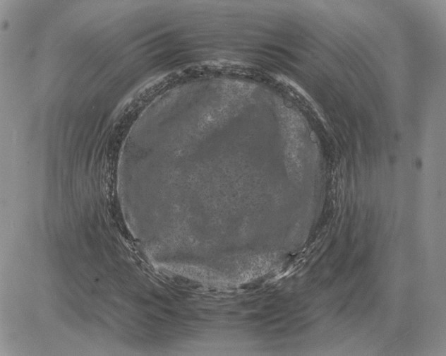 X0000081450919200701261909