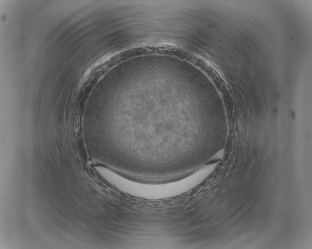 X0000081450920200701261909