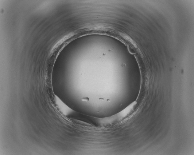 X0000081450922200701261909