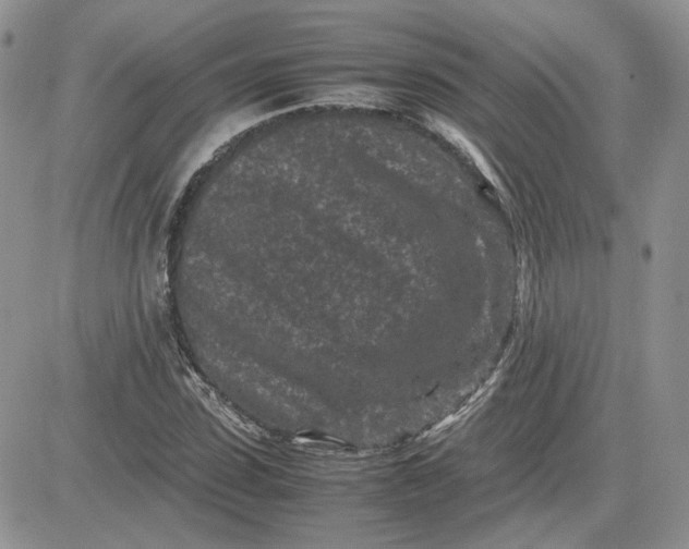 X0000081450923200701261909