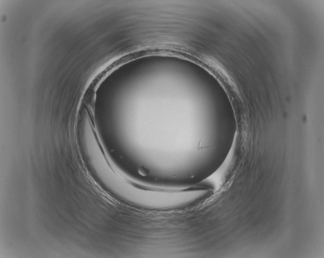 X0000081450924200701261909