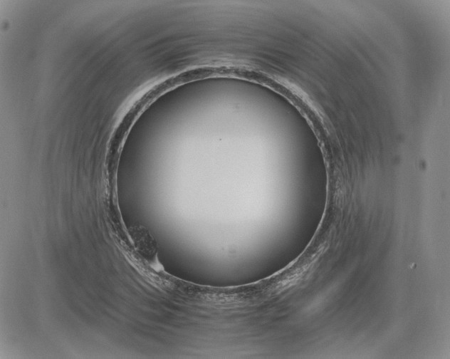 X0000081450927200701261909