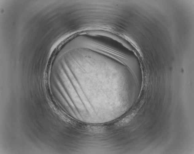 X0000081450928200701261909