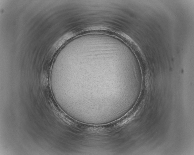 X0000081450929200701261909