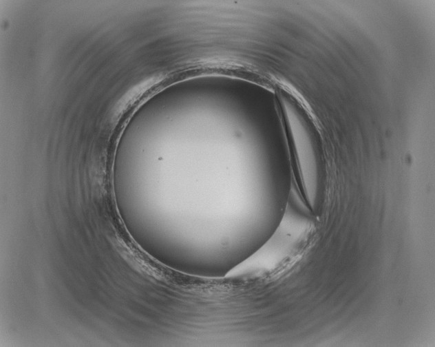 X0000081450930200701261909