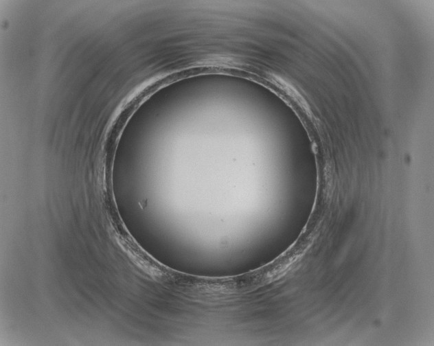 X0000081450931200701261909