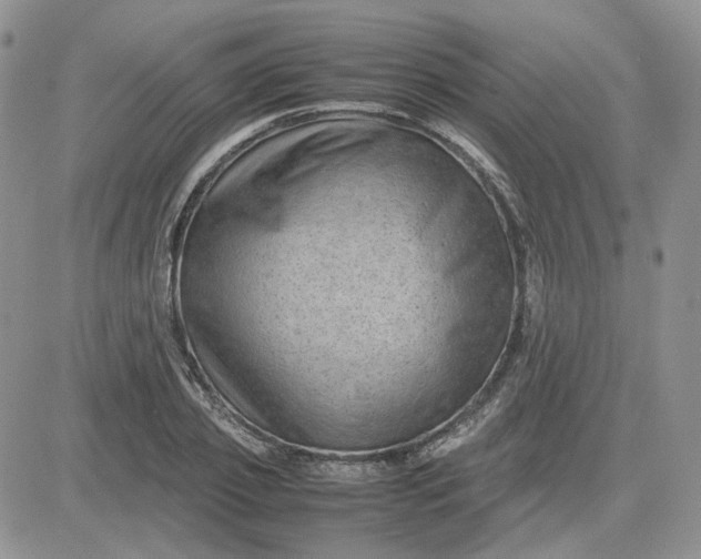 X0000081450933200701261909