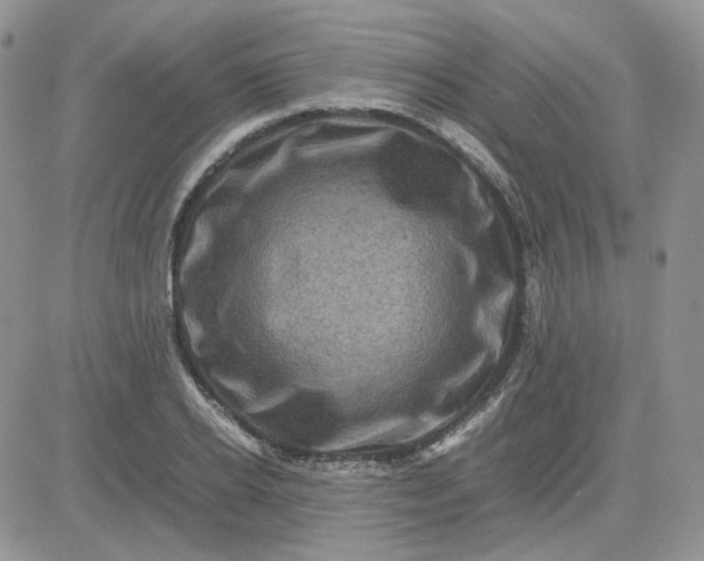 X0000081450934200701261909