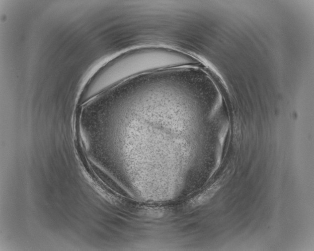 X0000081450935200701261909